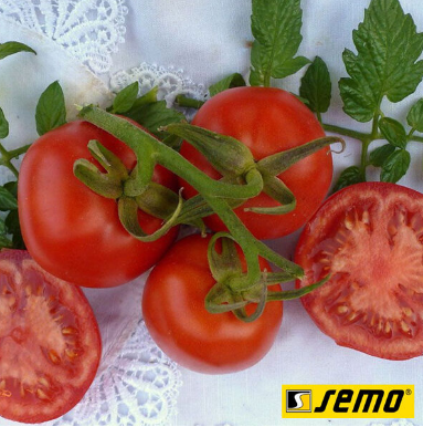Насіння томатів Карла фото, Насіння томатів Карла інтернет магазин Добрі сходи