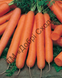 Насіння моркви Смірна фото, Насіння моркви Смірна інтернет магазин Добрі сходи